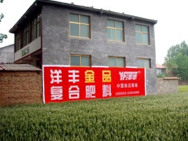 三门如何让墙体广告展现最大化效果