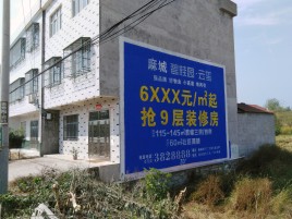 三门墙体广告质量分析